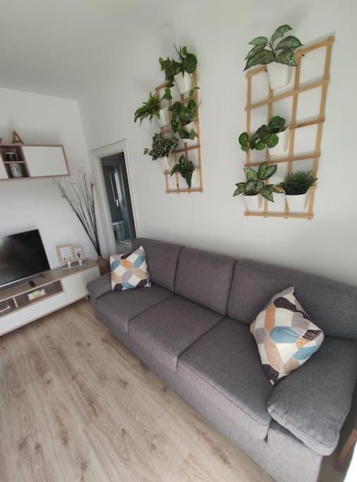 Mirador Del Oja Apartment เอซกาไรย์ ภายนอก รูปภาพ